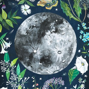Moon Garden | Celestial Wall Art | Space | Katie Daisy
