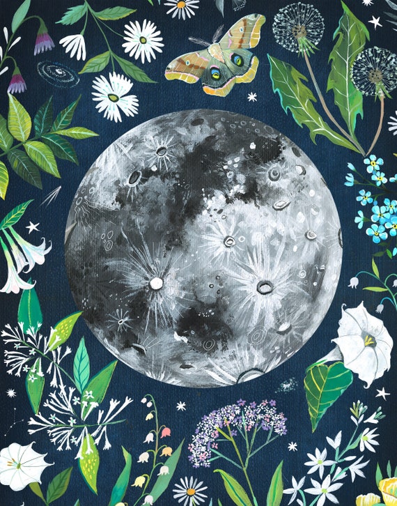 Moon Garden | Celestial Wall Art | Space | Katie Daisy