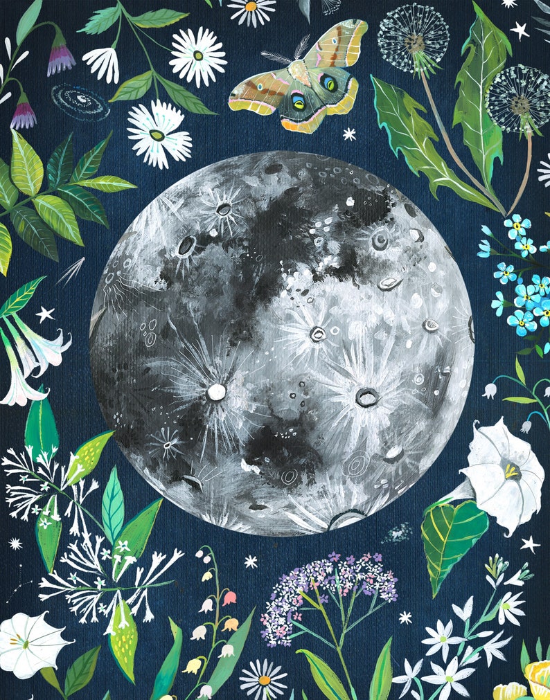 Moon Garden Celestial Wall Art Space Katie Daisy image 1