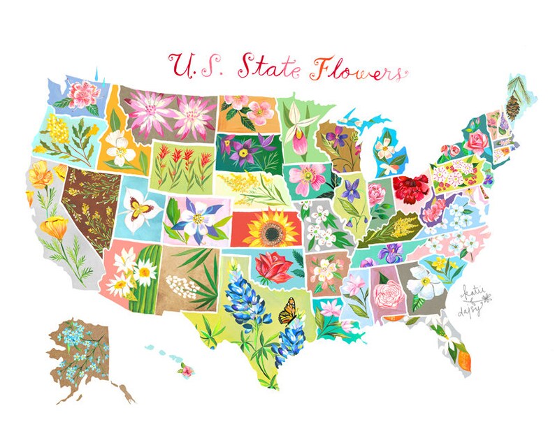 US State Flowers | Educational Wall Art | Watercolor Geography | Flower Chart 