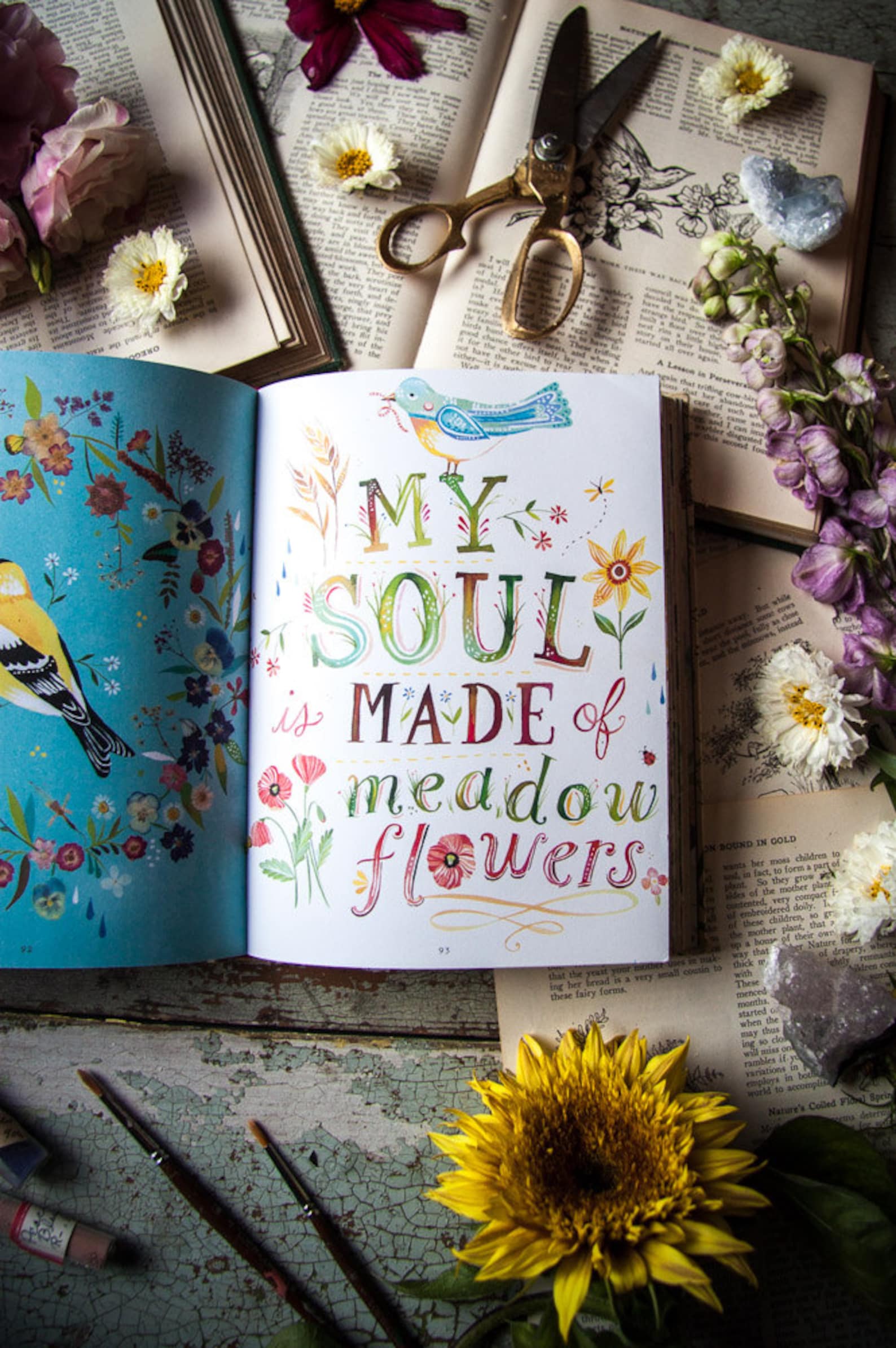 How to Be a Wildflower A Field Guide by Katie Daisy. SIGNED Etsy