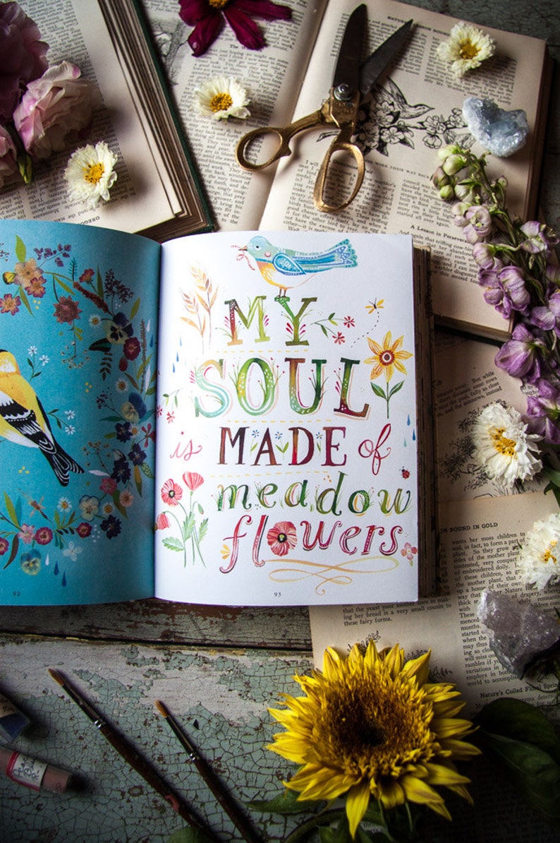 How to Be a Wildflower: A Field Guide by Katie Daisy. SIGNED BOOK image 4