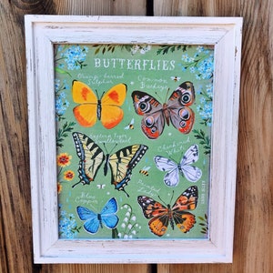 Butterfly ID Chart | Nature Decor | painting | Katie Daisy