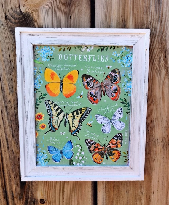 Butterfly ID Chart | Nature Decor | painting | Katie Daisy