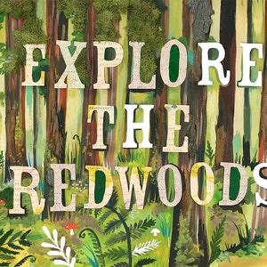 Explore The Redwoods art print Nature Wall Art Mixed Media Typography image 1