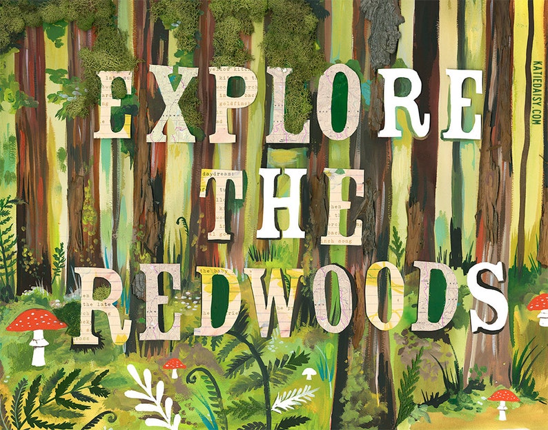 Explore The Redwoods art print Nature Wall Art Mixed Media Typography image 1