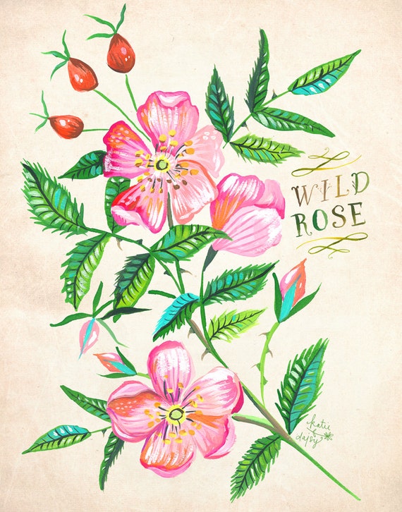 Wild Rose print | Katie Daisy Art | Watercolor Floral | Wall art | 8x10 | 11x14