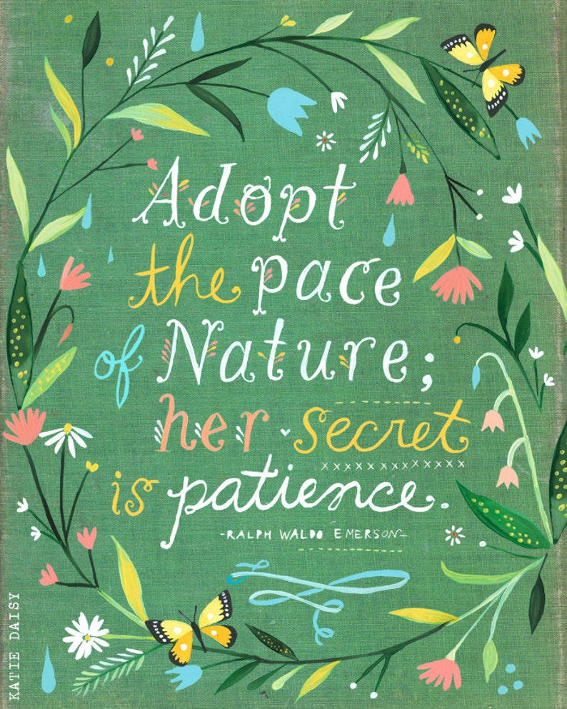 Pace of Nature Quote Paper Print Inspirational Wall Art Hand Lettering Floral Katie Daisy image 1