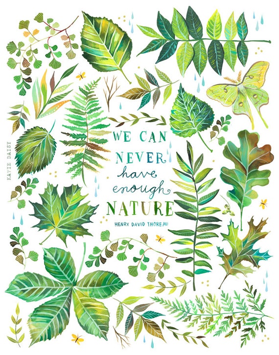 Nature | Thoreau Quote | Outdoorsy Art | Katie Daisy | 8x10 | 11x14