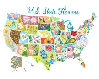 US State Flowers | Educational Wall Art | Watercolor Geography | Flower Chart