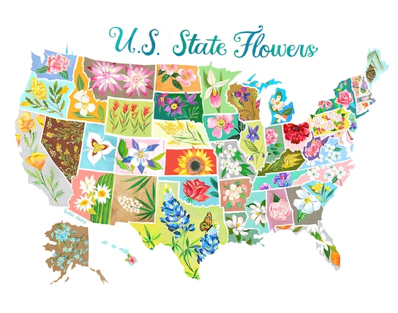 US State Flowers | Educational Wall Art | Watercolor Geography | Flower Chart