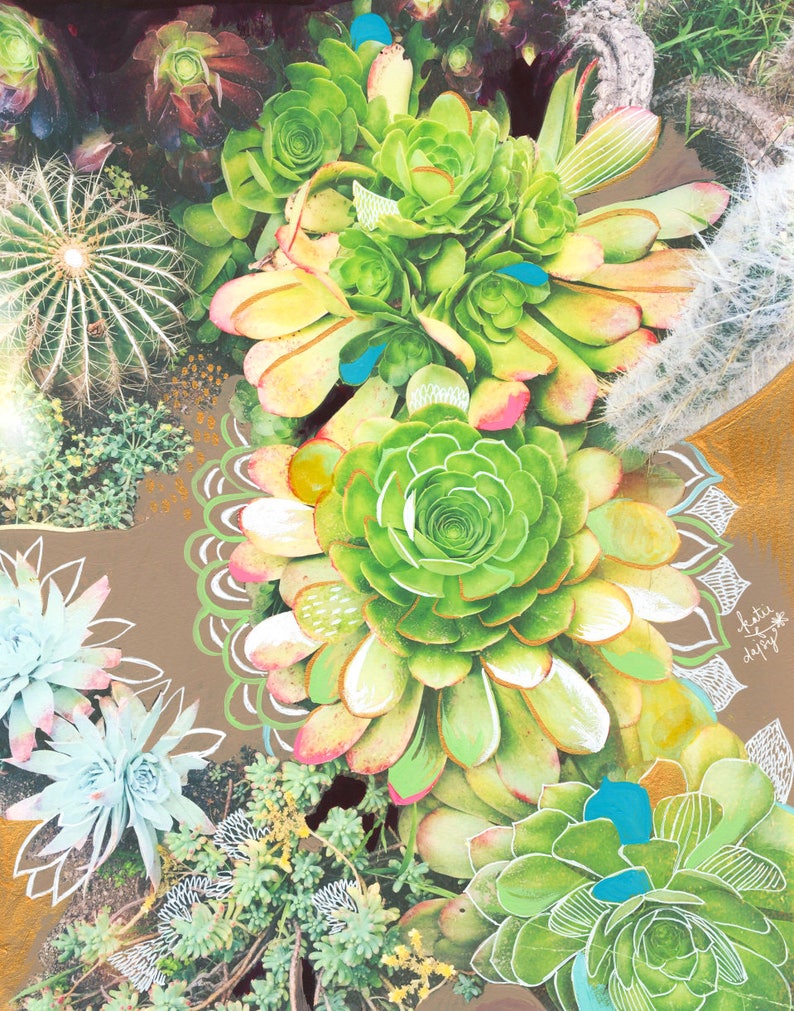 Succulents Art Print Mixed Media Painting Floral Photograph Katie Daisy 8x10 11x14 image 1