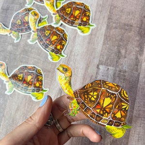 Box Turtle clear sticker image 4