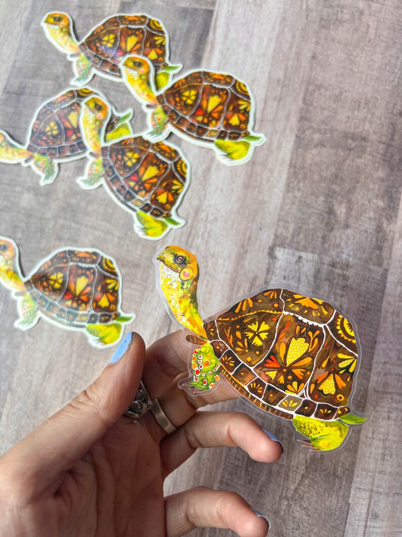 Box Turtle clear sticker image 4