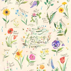 De taal van bloemen Art Print | Aquarel handbelettering | Botanische poster | Tuinieren Grafiek | Katie Daisy | 8x10 | 11x14