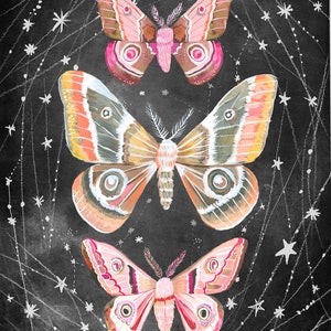 Wandering Moths Art Print | Nocturnal Wall Art | Katie Daisy | 8x10 ...
