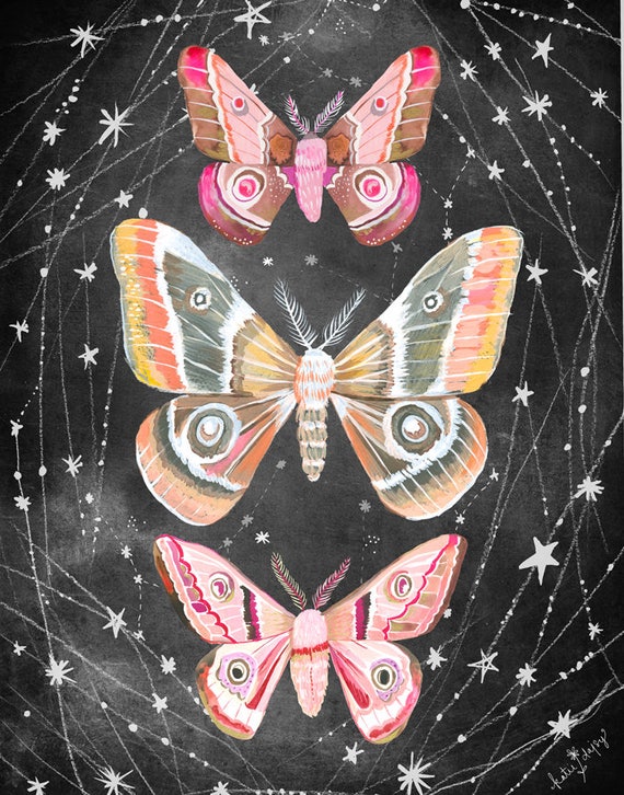 Wandering Moths Art Print  | Nocturnal Wall Art | Katie Daisy | 8x10 | 11x14