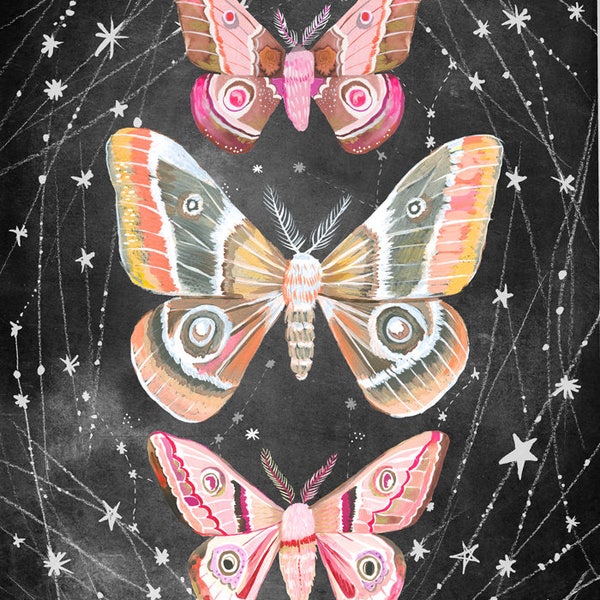 Wandering Moths Art Print  | Nocturnal Wall Art | Katie Daisy | 8x10 | 11x14