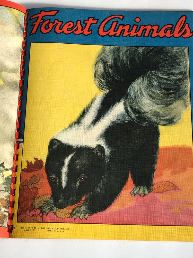 May include: A black and white skunk with a bushy tail is eating a brown leaf. The skunk is on a pink and yellow background with brown leaves. The text "Forest Animals" is at the top of the image. The text "Copyright 1943 by The Saalfield Pub. Co. Made in U.S.A. Akron, O." is at the bottom of the image.