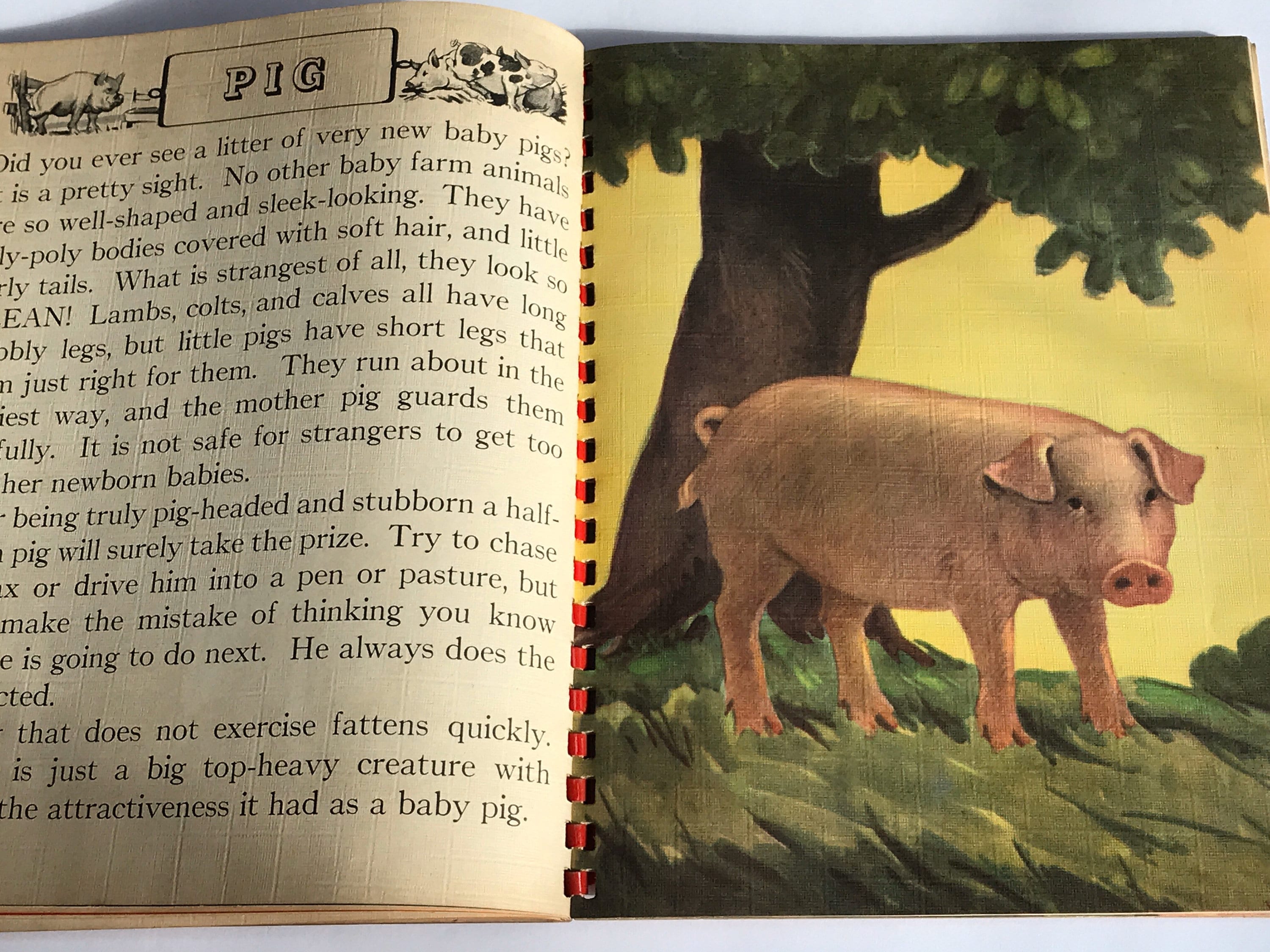 Vintage (1943) Children's Book - Picture Story Book - 4 Vintage (1943) Children's Book - Picture Story Book - 4