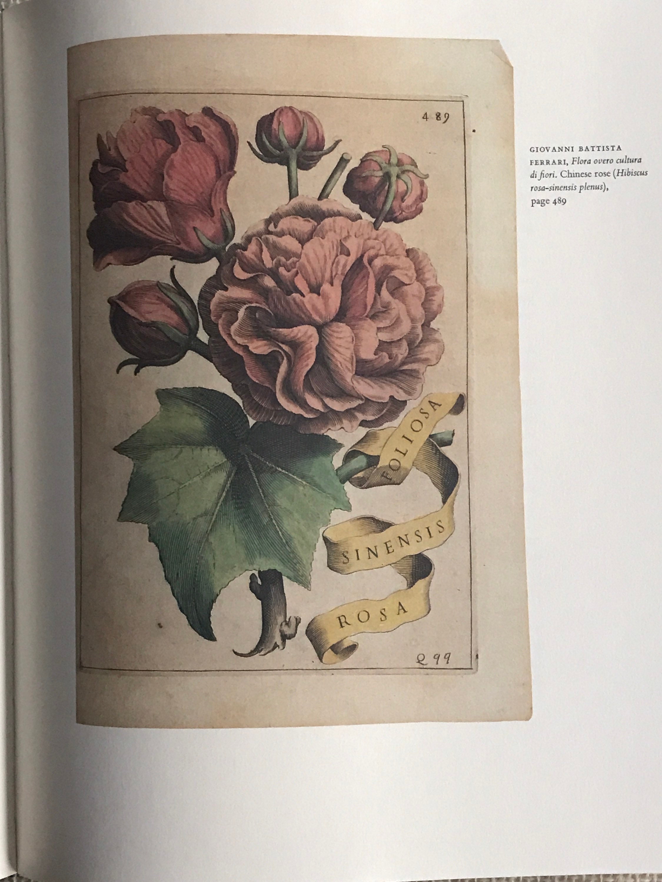 Beautiful Old Books Etsy Beautiful Old Books Etsy