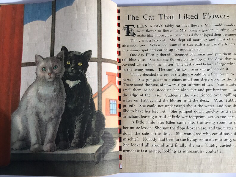 May include: A black and white cat and a gray and white cat are sitting on a windowsill. The black cat has a white patch on its chest. The gray cat has green eyes. The cats are looking at the camera. The image is from a children's book about a cat who likes flowers.
