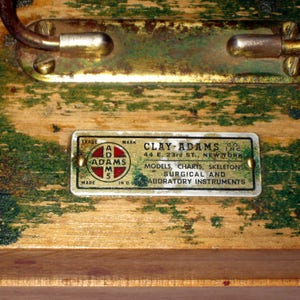 May include: A vintage wooden box with a brass latch and a label that reads "TRADE MARK CLAY-ADAMS CO. 44 E. 23rd ST., NEW YORK MODELS, CHARTS, SKELETONS SURGICAL AND LABORATORY INSTRUMENTS."