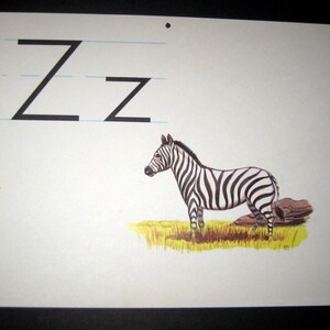 Vintage (década de 1960) Tarjeta flash de aula de alfabeto grande - Z - Zebra