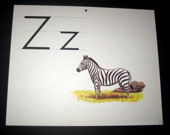 Vintage (1960s) Large Alphabet Classroom Flash Card  - Z - Zebra