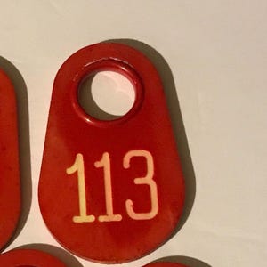 Vintage Red and White Plastic Cattle or Cow Tag for Repurposing- #113