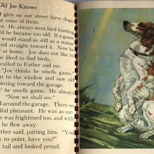 May include: A brown and white dog with black markings sits on a green grassy surface. The dog is looking up and has its mouth slightly open. The dog is a setter and is known as "Old Joe". The text "Old Joe Knows" is at the top of the page.
