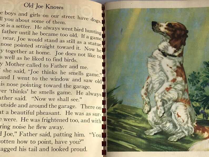 May include: A brown and white dog with black markings sits on a green grassy surface. The dog is looking up and has its mouth slightly open. The dog is a setter and is known as "Old Joe". The text "Old Joe Knows" is at the top of the page.