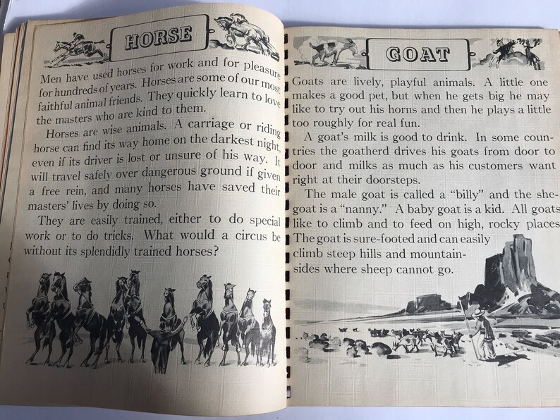 May include: A vintage children's book page with illustrations of horses and goats. The text on the page describes the characteristics and uses of horses and goats. The text reads "Horse" and "Goat".
