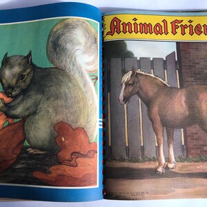 May include: A vintage children's book titled "Animal Friends" with a squirrel eating an acorn on the left page and a brown horse standing in a field on the right page.