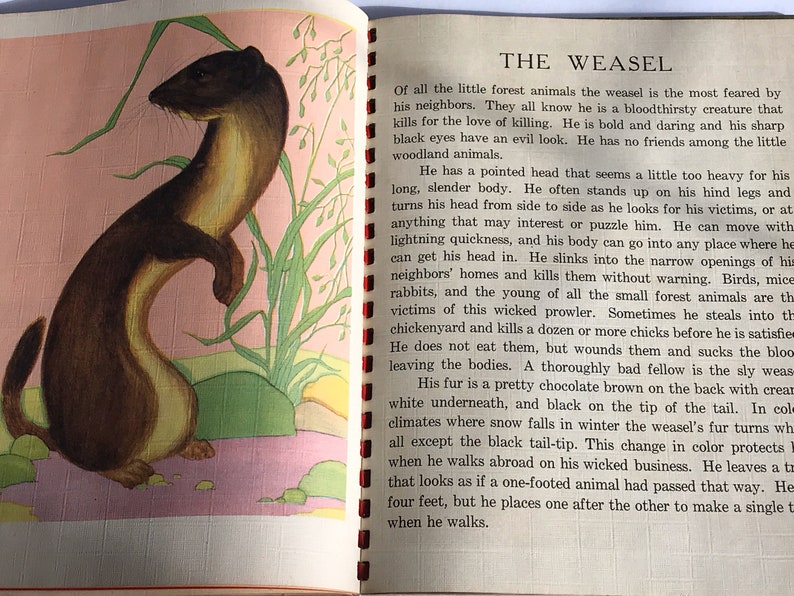 Vintage (1943) Children’s Book - Picture Story Book - 4 Books in 1 - Our Dogs, Forest Animals, Animal Friends, Mittens and Cats - Saalfield image 4
