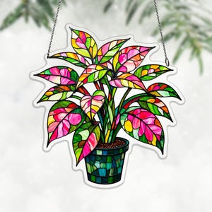 May include: A colorful stained glass plant with pink, green, yellow, and orange leaves. The plant is in a mosaic-style pot, and hangs from a chain. The leaves have a stained glass effect, with a variety of colors. The plant is a decorative item.