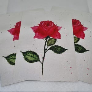 Postkarte Eternal Rose