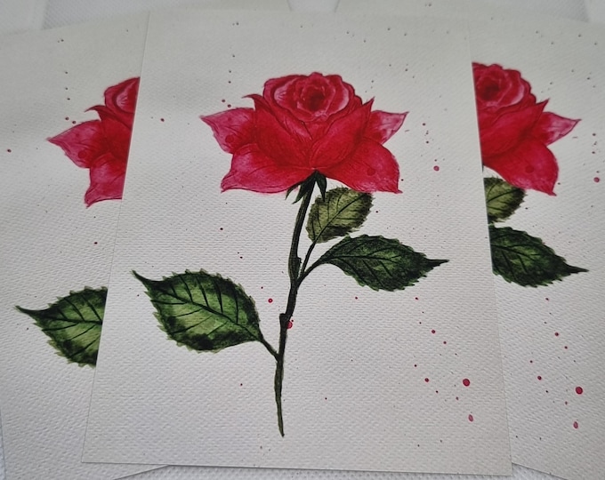 Postcard Eternal Rose