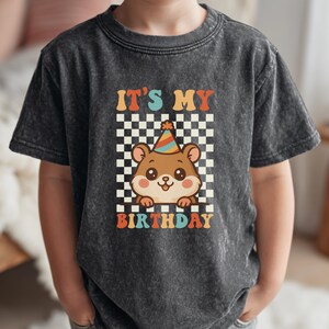 May include: A charcoal gray t-shirt featuring a cartoon hamster wearing a party hat, set against a checkered background. The text "IT'S MY BIRTHDAY" is displayed in a retro font. The shirt is made of a soft material.