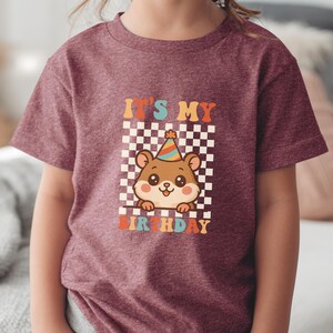 May include: Burgundy t-shirt featuring a cartoon hamster wearing a party hat, set against a checkered background. The text "IT'S MY BIRTHDAY" is displayed in colorful, retro-style lettering. A fun, festive design for a birthday celebration.