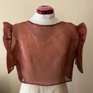 May include: A sheer, rust-colored, cropped top with puffed sleeves and a beaded neckline.
