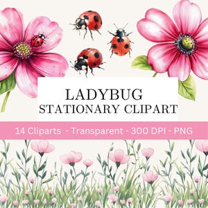 Clipart di coccinella e invito di compleanno, uso commerciale, carina coccinella png, clipart di primavera, clipart di coccinella, decorazioni per la cameretta dei bambini