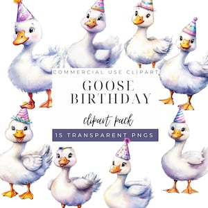 Goose with Birthday Hat Clipart, Silly Goose Clipart, Silly Goose Birthday, Party Hat Goose Png, 1 Silly Goose Png, One Silly Goose