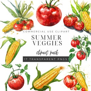 Clipart la fin de l'été, clipart végétarien d'été, aquarelle de légumes PNG, éléments floraux aquarelles, téléchargement numérique pour travaux manuels d'été