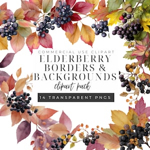 Elderberry Clipart, Digital Botanical Art, PNG Images for Scrapbooking, Commercial Use, Wild Berries Design