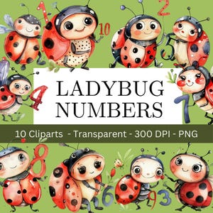 Simpatica clipart coccinella acquerello con numeri 1-10, ideale per feste di compleanno, immagini PNG trasparenti, download istantaneo, uso commerciale