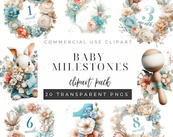 Baby Milestone Months Clipart PNG, Monthly Milestone Clipart, Baby Shower Clipart, Floral Milestone Numbers, Nursery Clipart, Baby Month PNG