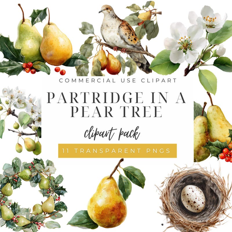 Partridge in a Pear Tree Clipart - Etsy