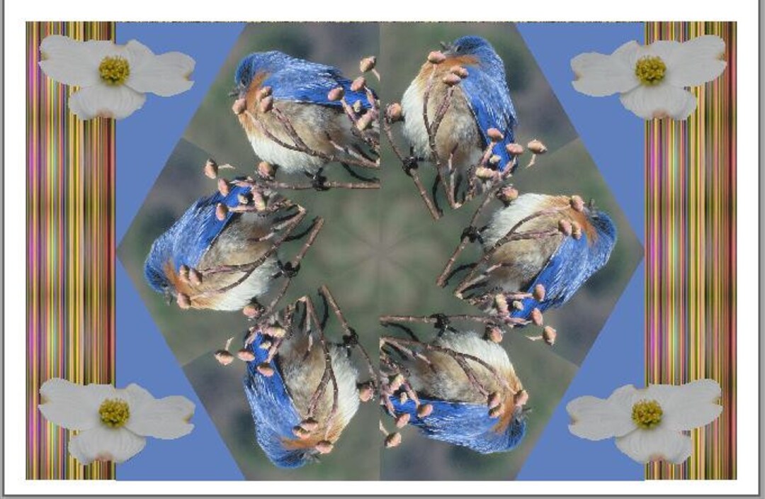 Card Good Luck Bluebird and Dogwood Kaleidoscope With may the Bluebird