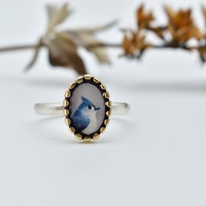 Tufted Titmouse Bird Photo Ring/ sterling silver, bronze